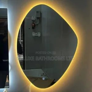 Led Mirror With Multiple Light
