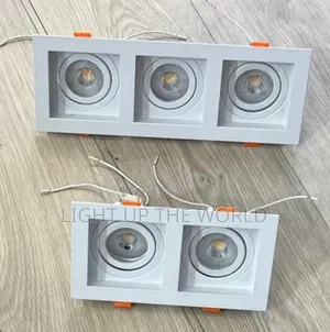 3 in 1 Sport Light
