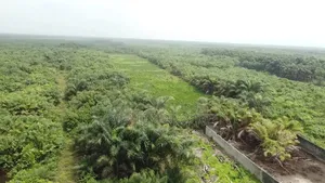 Prime Ibeju Lekki Land