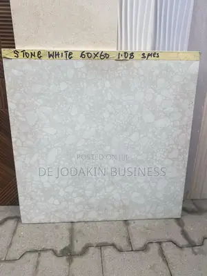 60x60 Imported Matt Floor Tile Liz