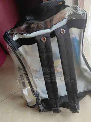 Transparent Backpacks