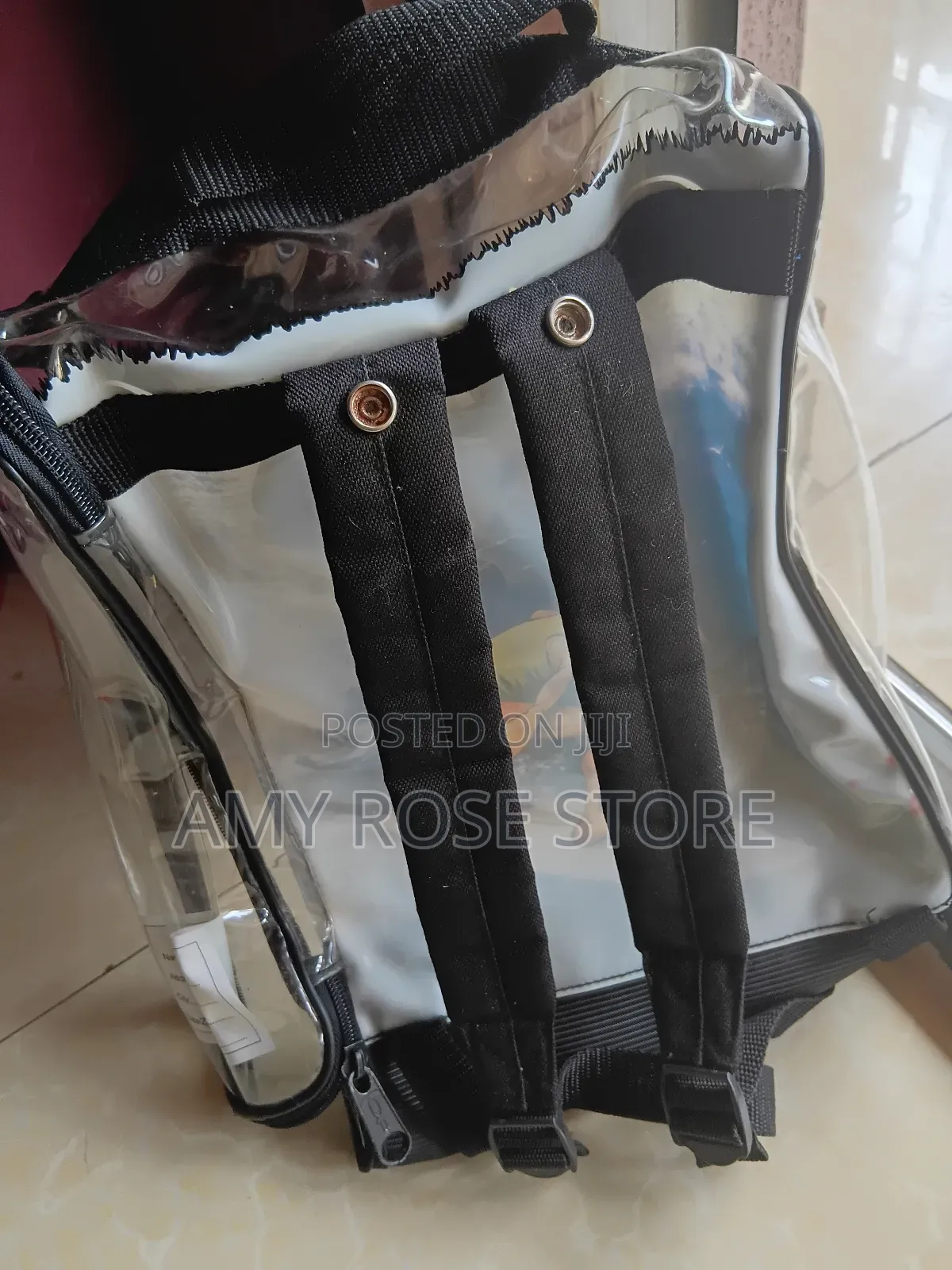 Transparent Backpacks