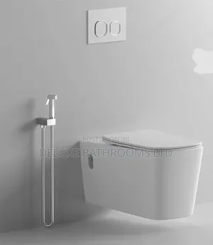 Concealed Water Closet and Tank