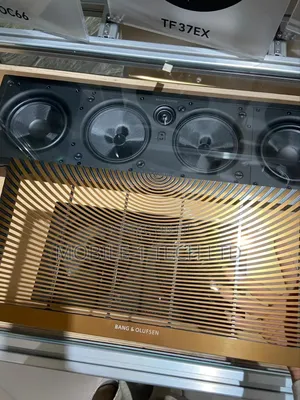 Bang and Olufsen Celestial Inceiling Speakers