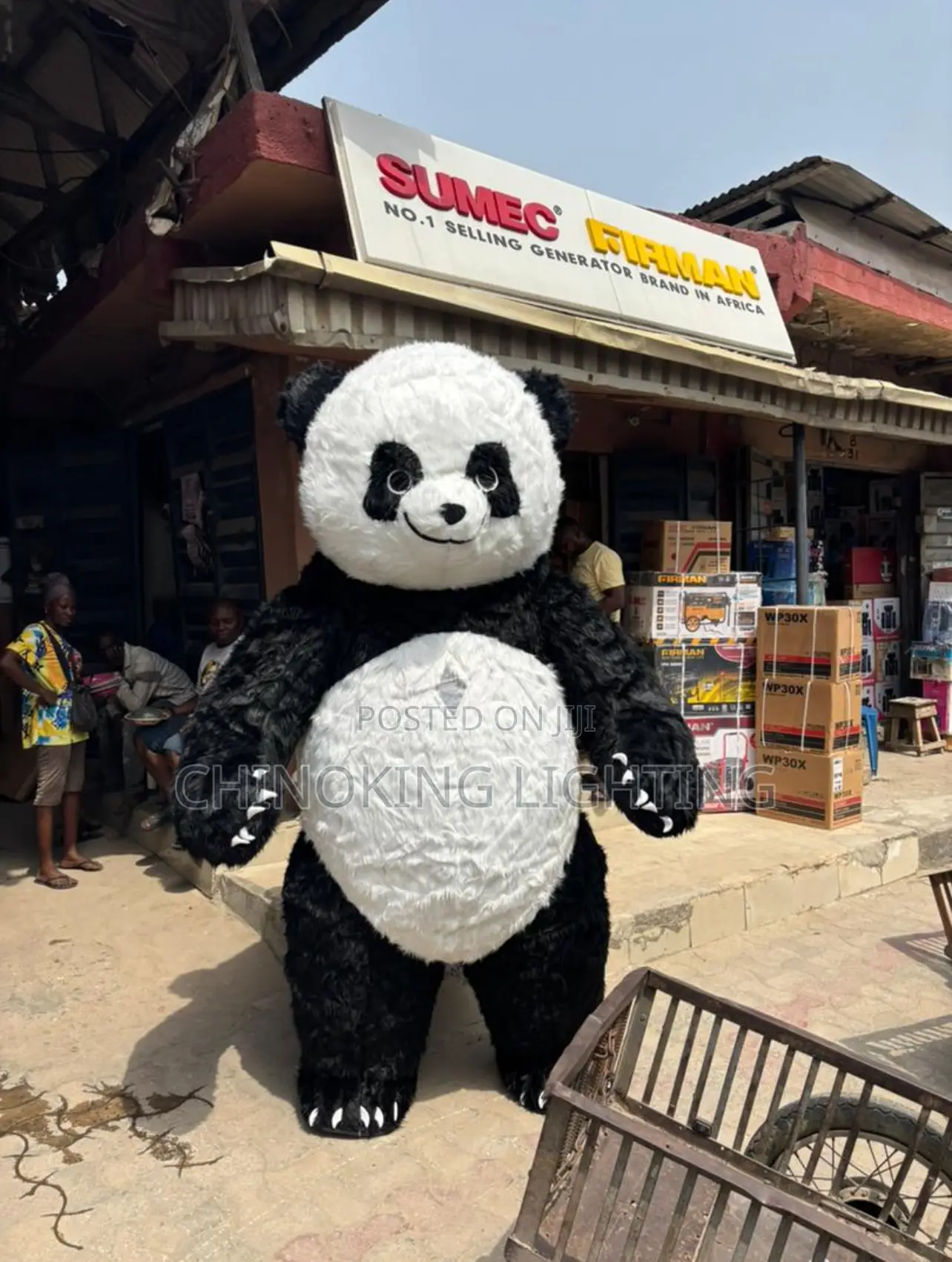 Panda Costumes