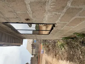 Framless Window With Inner Net
