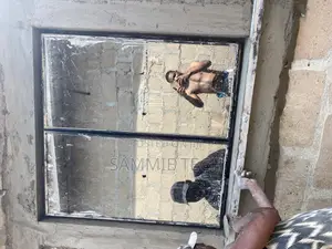 Framless Window With Inner Net