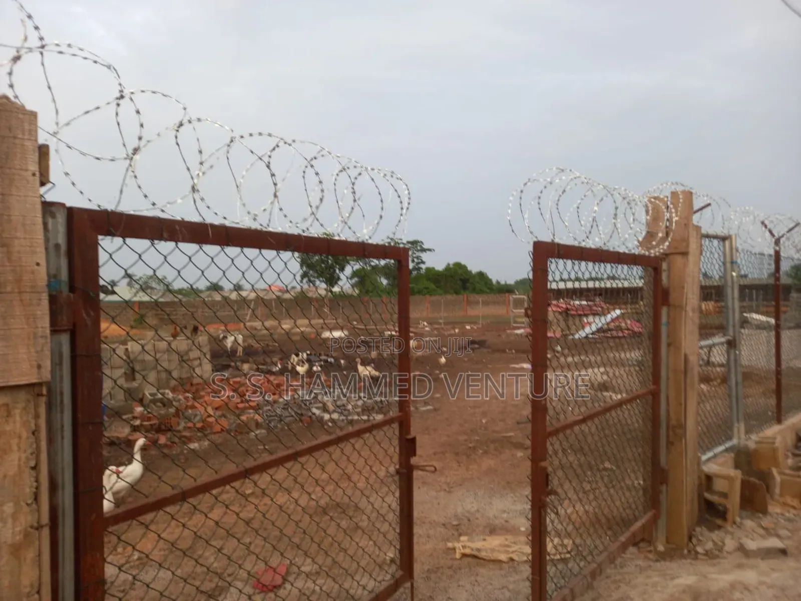 Coalted Chain Link (6 Feets By 12 Meters Length