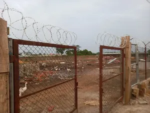 Coalted Chain Link (6 Feets By 12 Meters Length