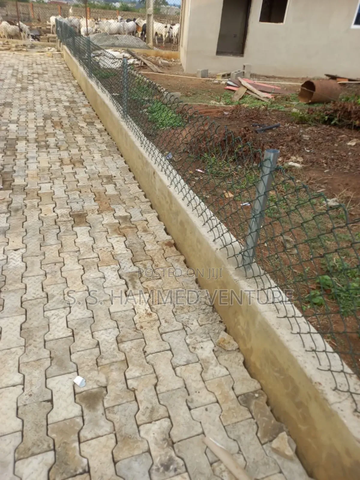 Coalted Chain Link (6 Feets By 12 Meters Length