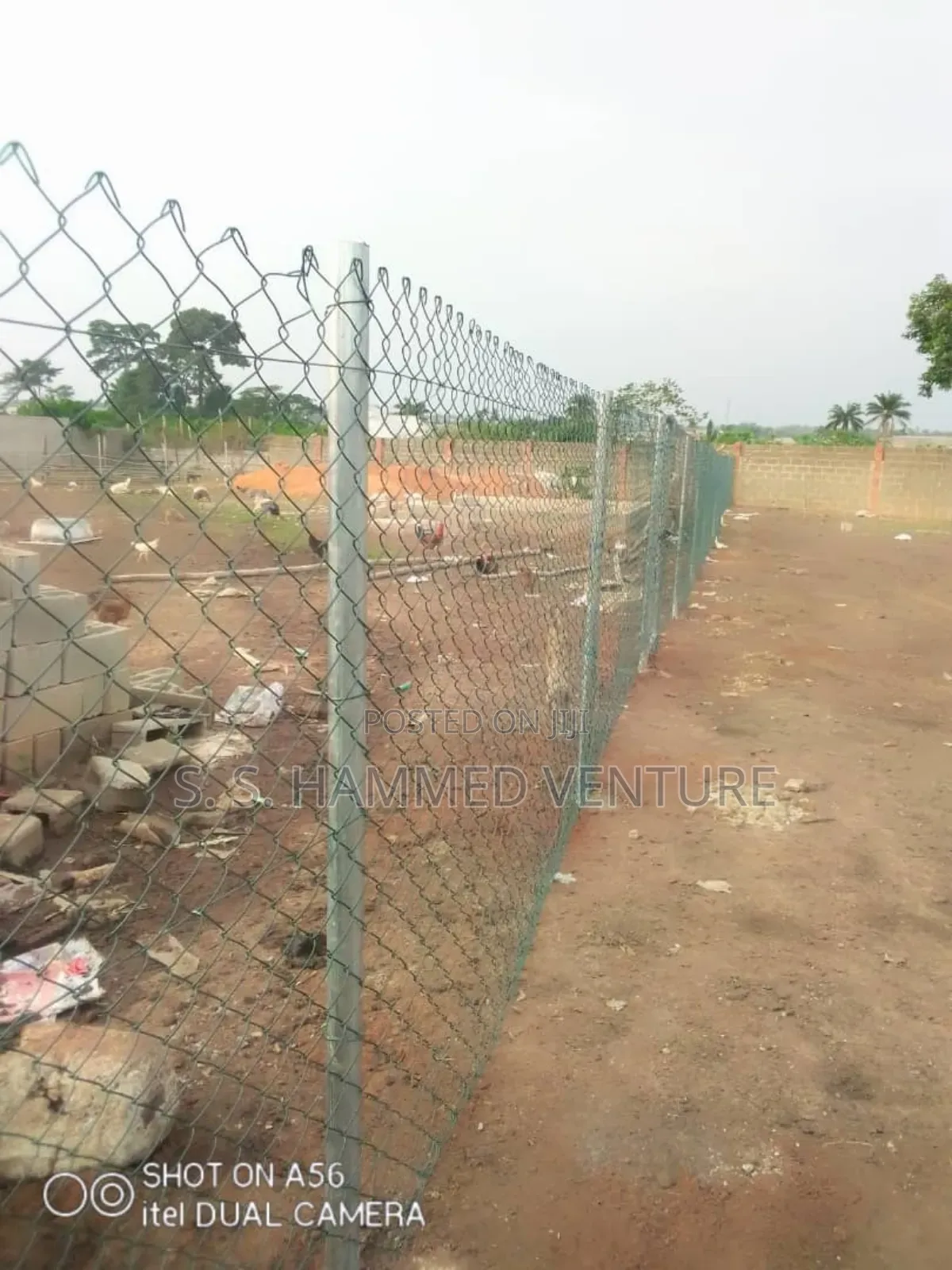Coalted Chain Link (6 Feets By 12 Meters Length