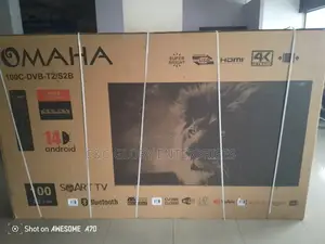 100 Inch Omaha Smart Tv, With Free Wall Bracket.
