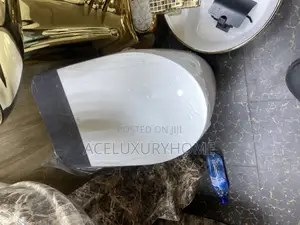 White Sensor Water Closet