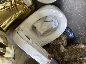 White Sensor Water Closet