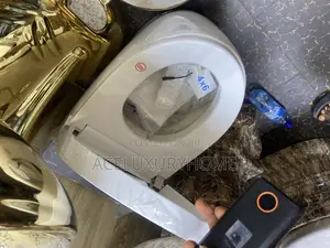 White Sensor Water Closet