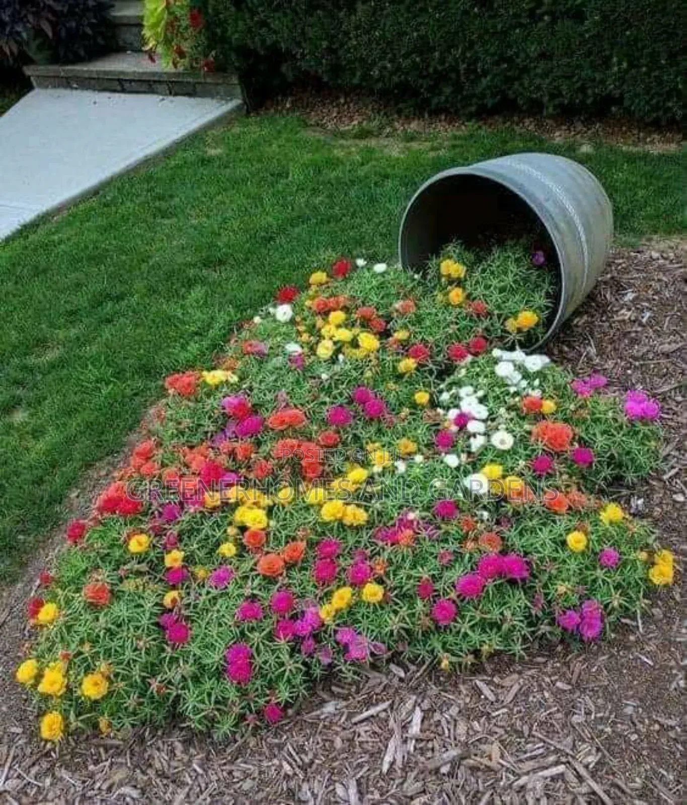 Landscaping Design