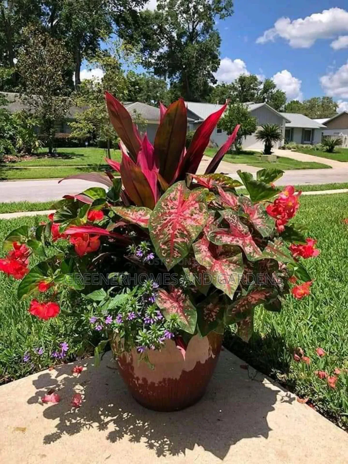 Landscaping Design