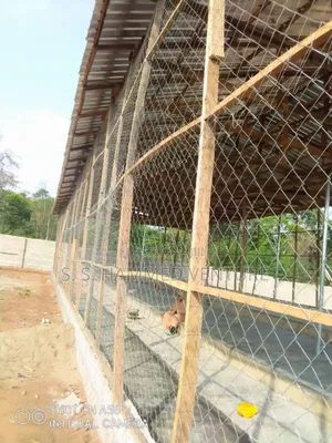 Large Pens House Farms (Gavalnized Mesh)