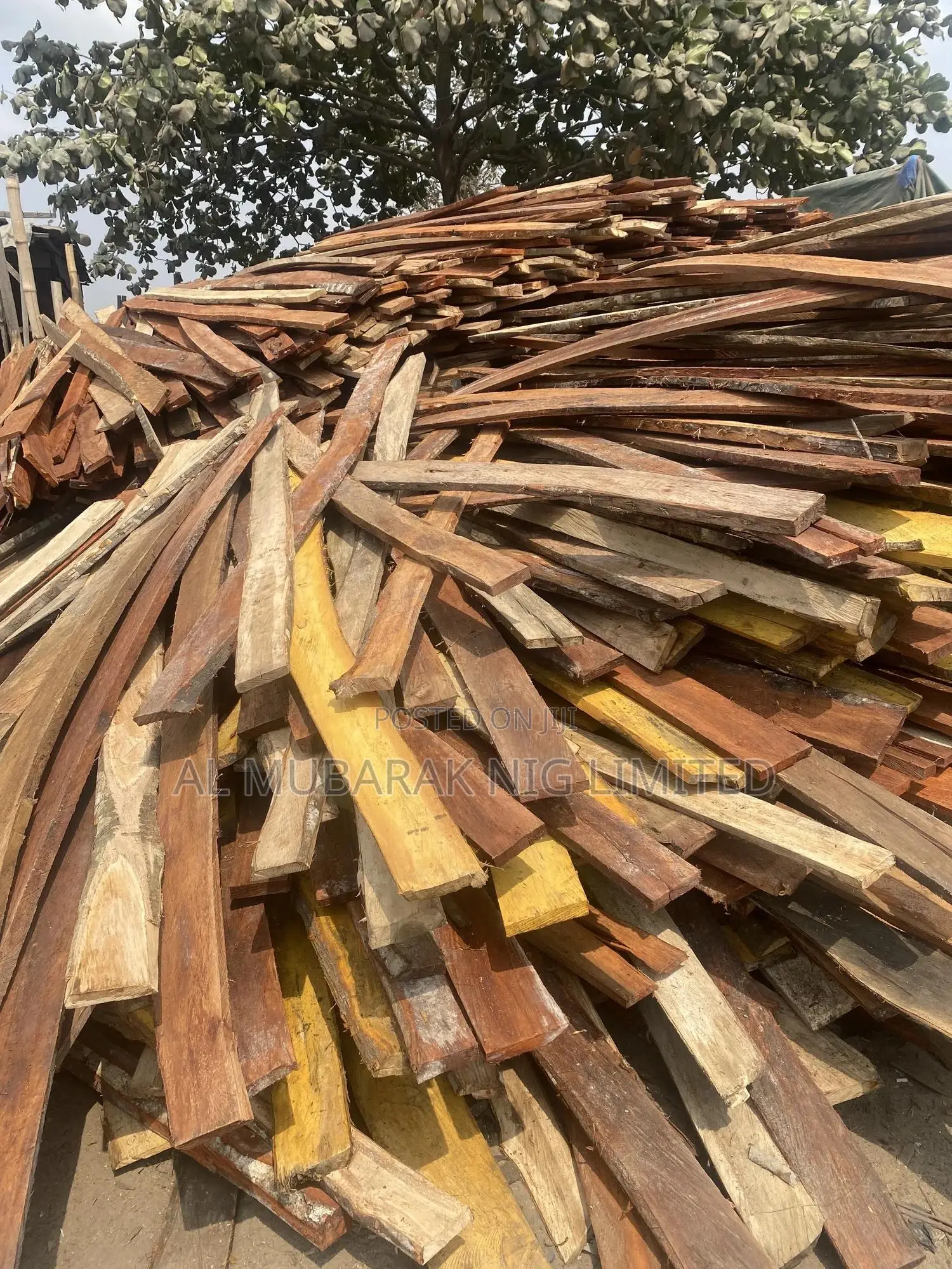 Akun Concrete Roofing Woods