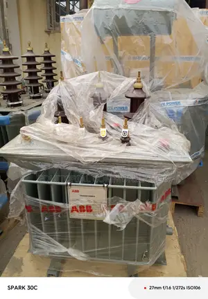 Abb 100/11transformer | Power Distribution