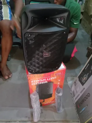 New Public Address System With Double Wireless Microphone