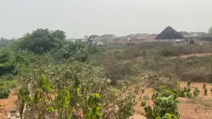 One Acre of Land for Sale at Awosun Directly Facing Express