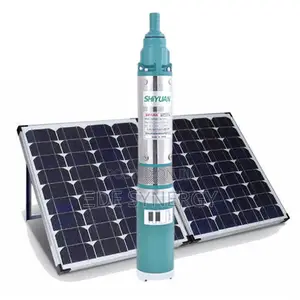Submersible Solar Pump (With Panel)