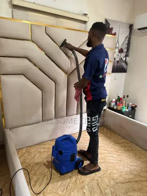 Professional Bed Frame Cleaner
