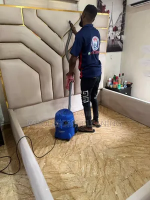 Are You Searching for Expert /Detailed Bed Frame Cleaner