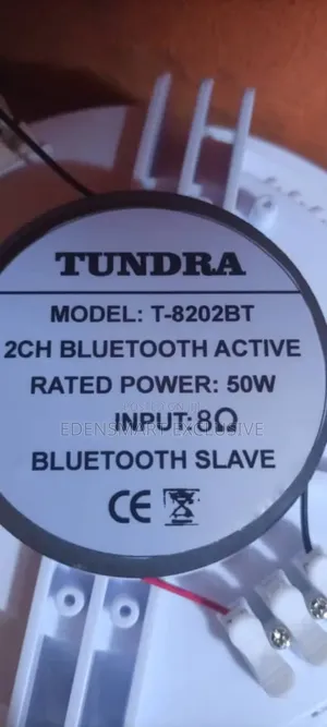 Photo - Tundra Bluetooth Input 8 Power:50w