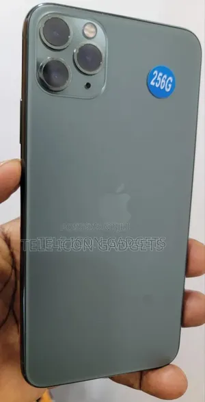 Apple iPhone 11 Pro Max 256 GB Gray