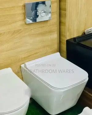 White Wall Hung Toilet Seats