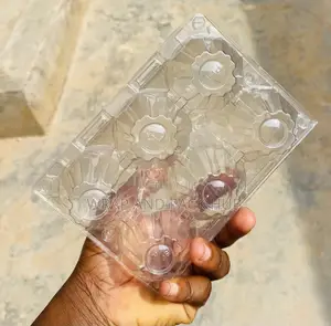6 Holes Egg Transparent Egg Crate