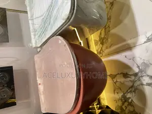 Pink Concealed Water Closets