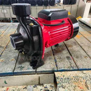 2by2 Surface Water Pump