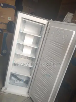 Large Capacity Skyrun 180l Freezer Refrigerator for Families