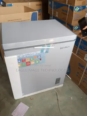 Trustworthy Skyrun 145l Chest Freezer(Bd-145a)