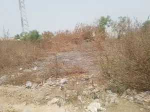 Genuine Land for Sale