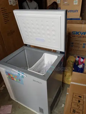 The Most Valuable Skyrun 145l Chest Freezer(Bd-145a)