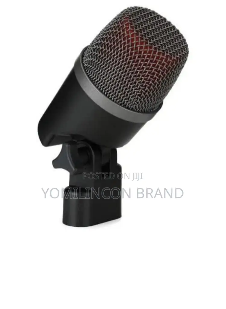Se Electronics v Kick Dynamic Microphone