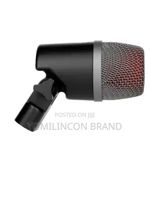Se Electronics v Kick Dynamic Microphone