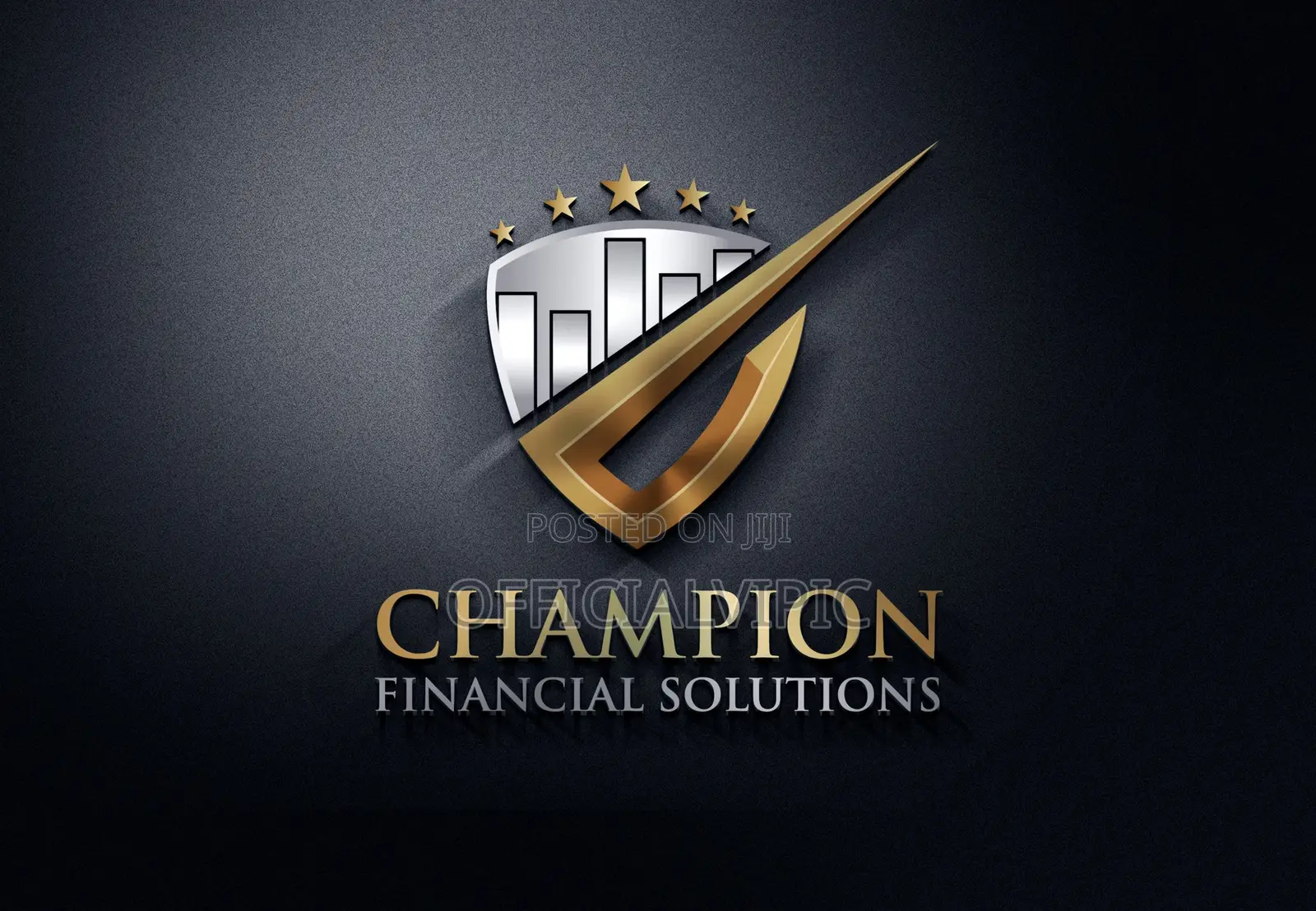 Professional Logo Design / Branding Service / Flyers / Banner
