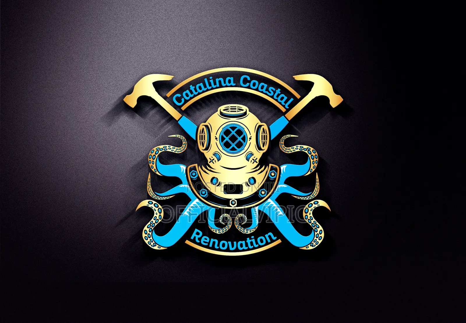 Professional Logo Design / Branding Service / Flyers / Banner