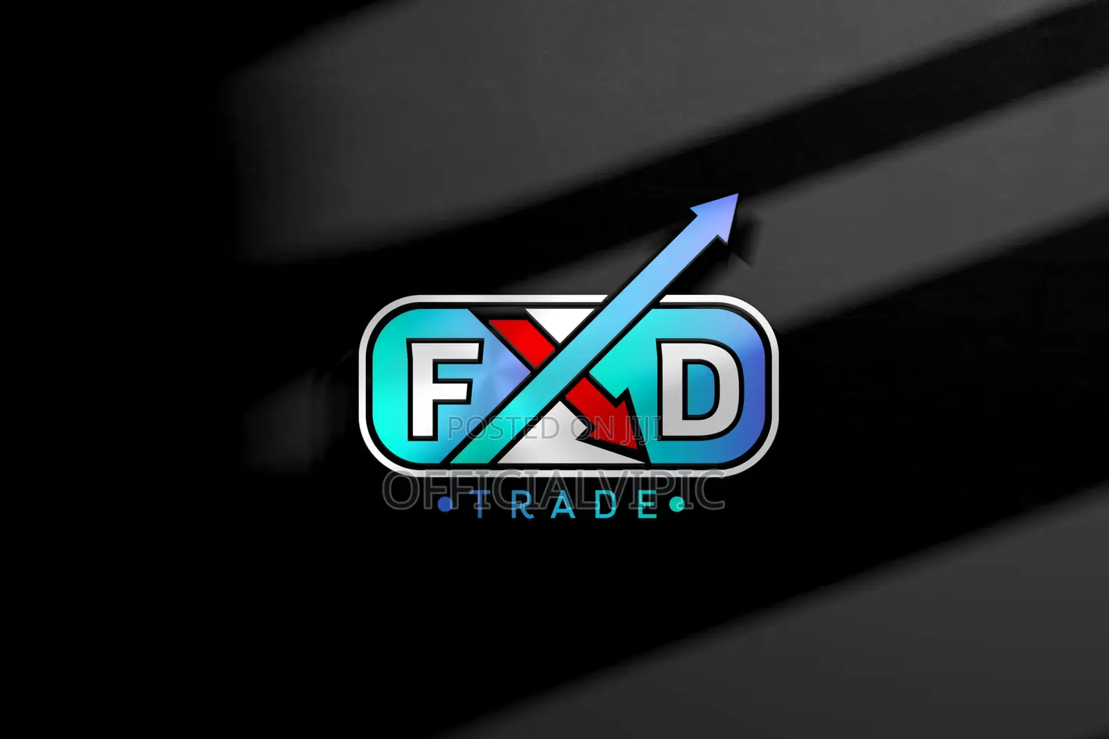 Professional Logo Design / Branding Service / Flyers / Banner