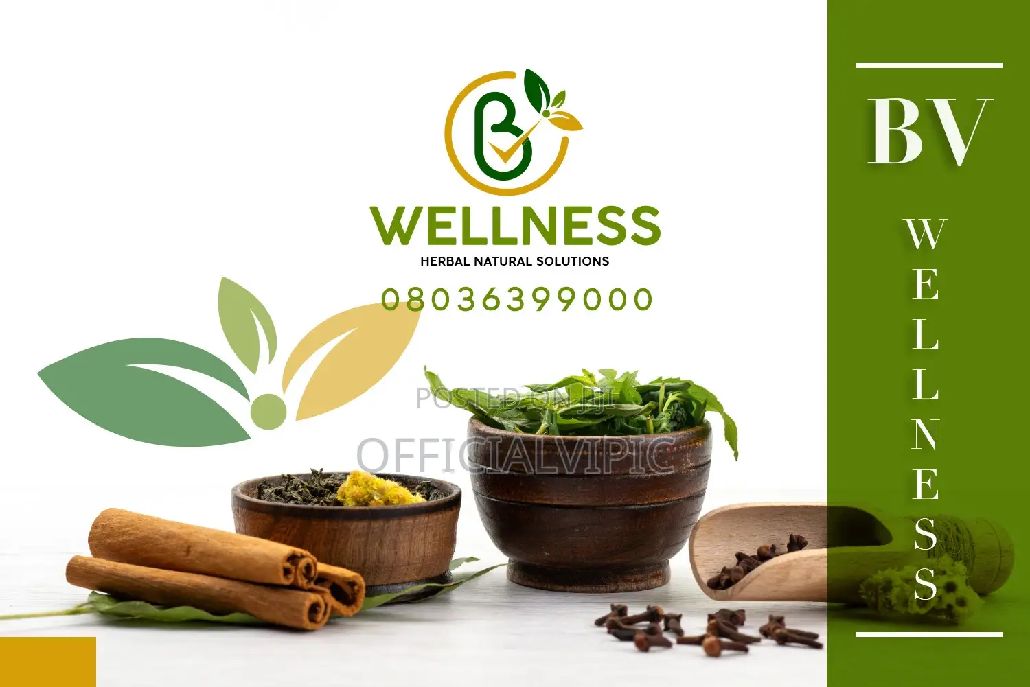 Professional Logo Design / Branding Service / Flyers / Banner