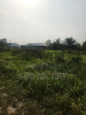 4 Plots of Land