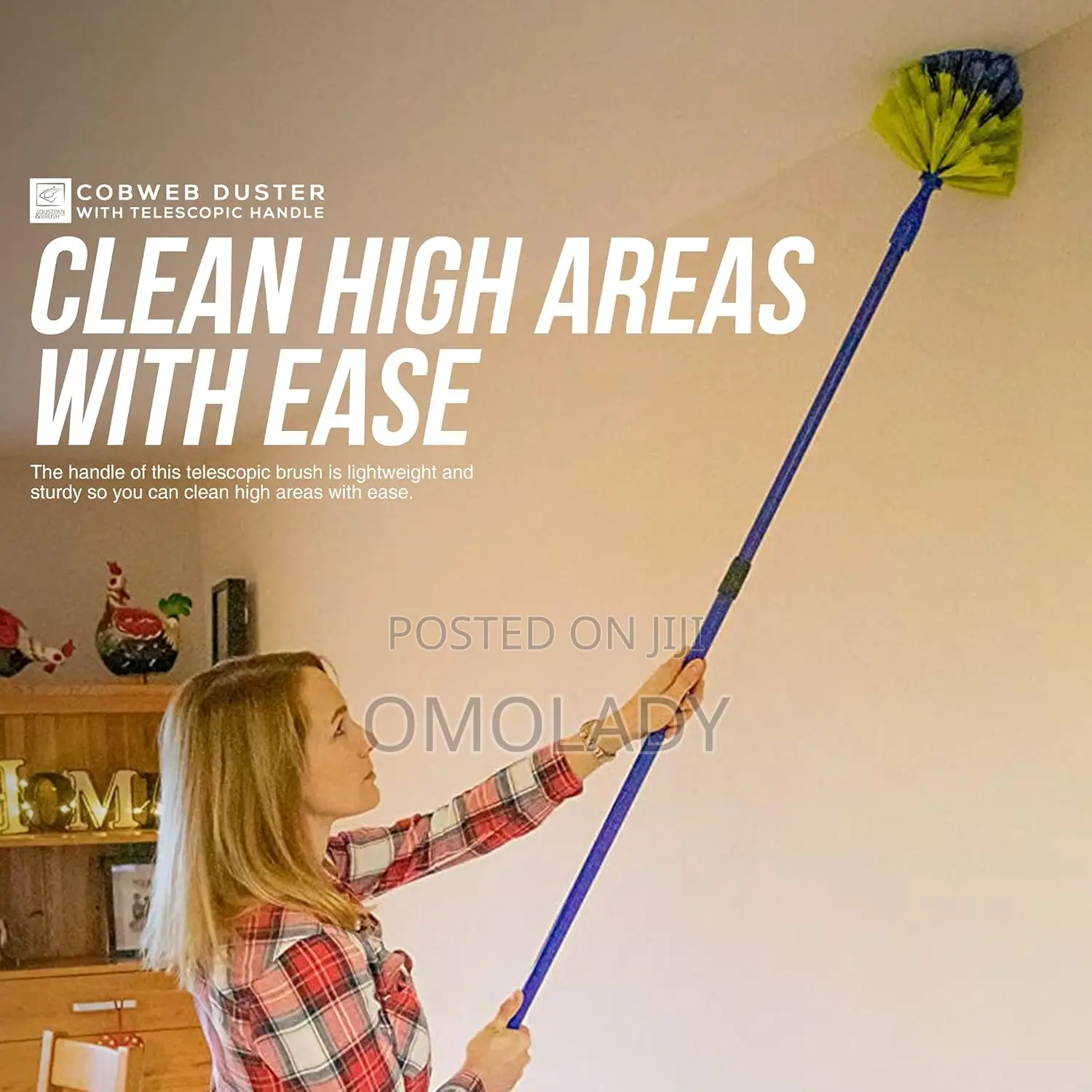 Telescopic Cubweb Bush