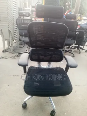 Egorhimer Office Chair