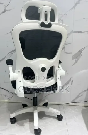 Special Office With Inbuilt Back Support