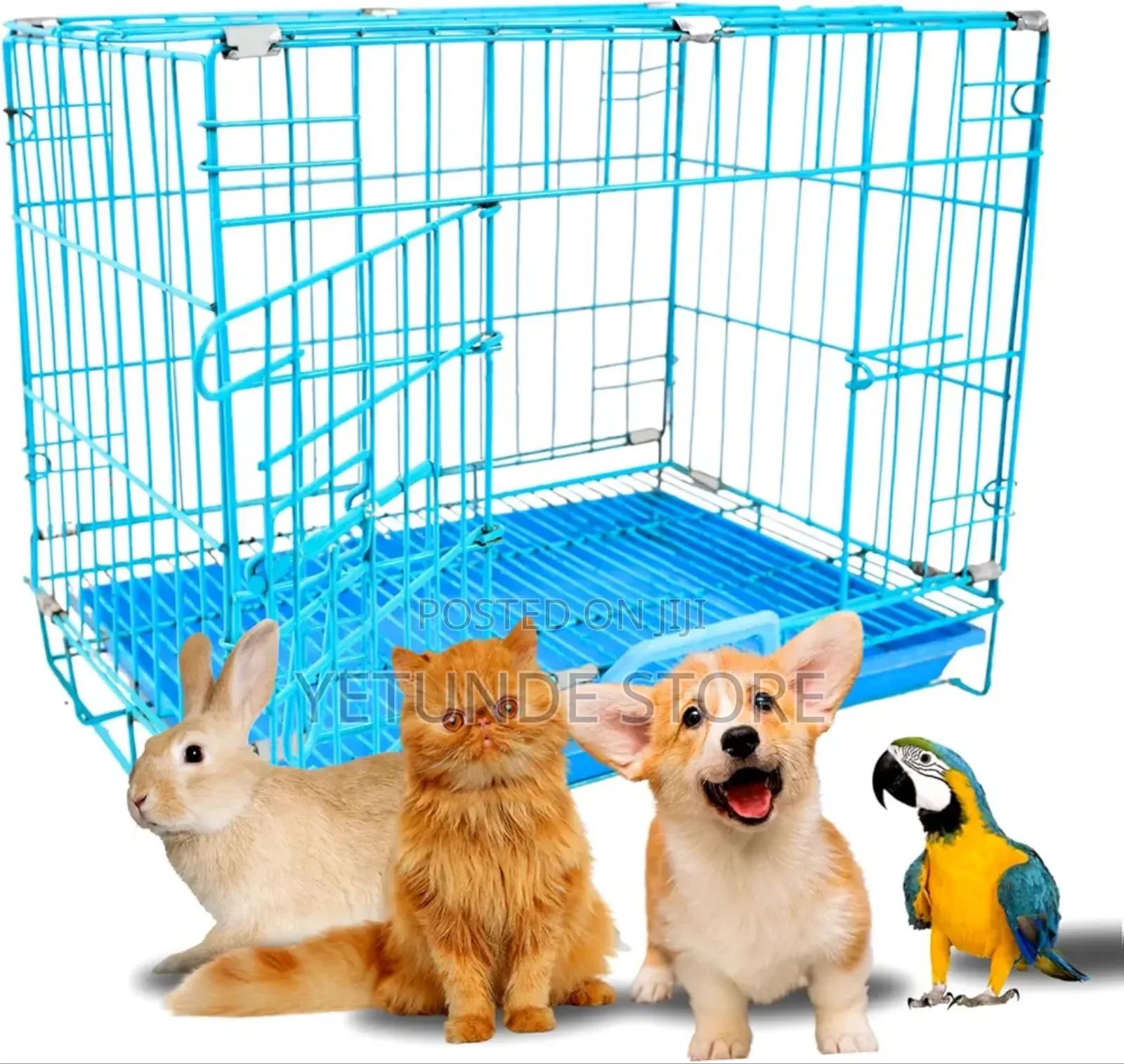 Single Door Dog Cage Easy to Move With Removable Tray